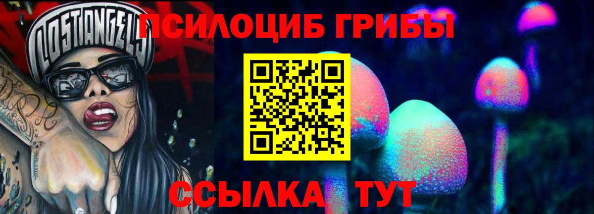 Галлюциногенные грибы прущие грибы  Псилоцибиновые грибы мицелий  где купить наркотик  Чита  Вход с VPN 
